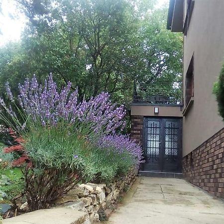 Apartman V Zahrade Praha Troja - Apartment In The Garden Prague Troja 外观 照片